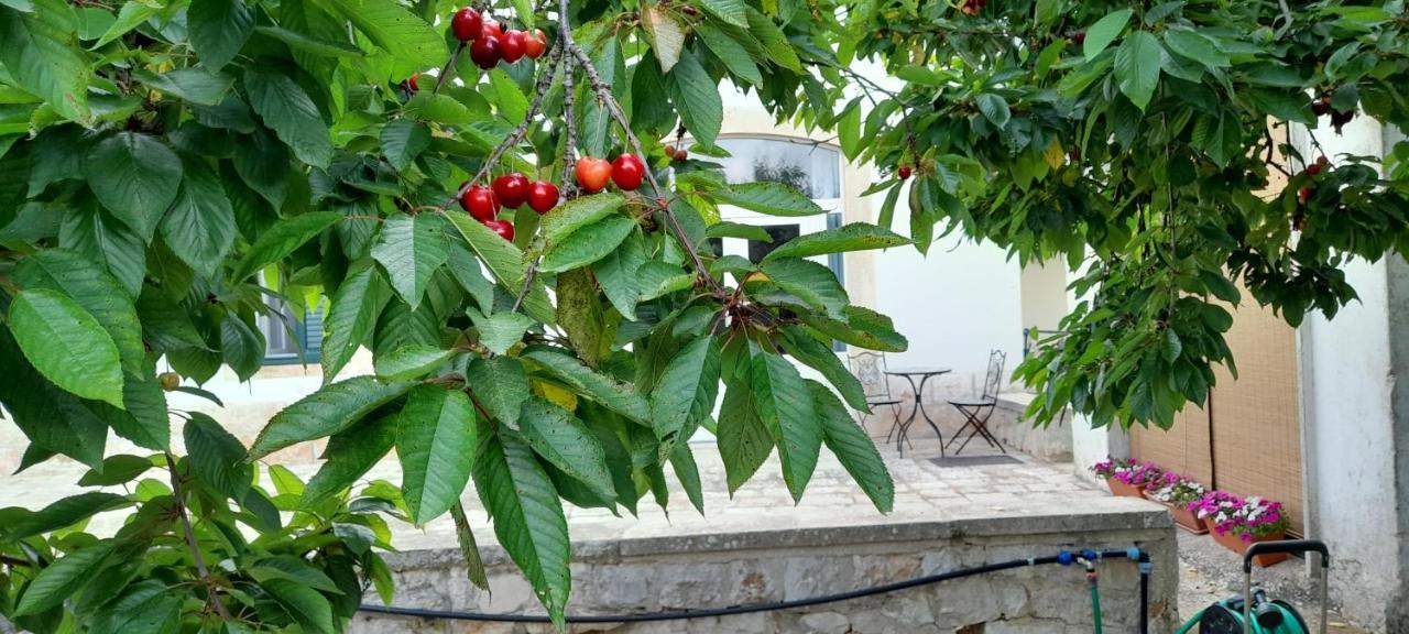 Ferienwohnung Locazione Turistica San Giorgio Putignano Exterior foto