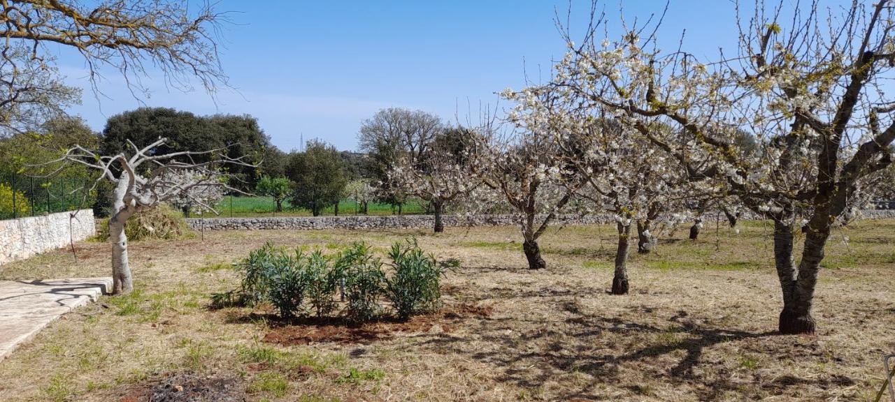 Ferienwohnung Locazione Turistica San Giorgio Putignano Exterior foto